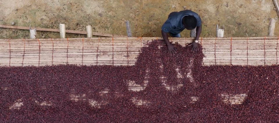 vlcsnap-2026-04-13-16h25m55s668